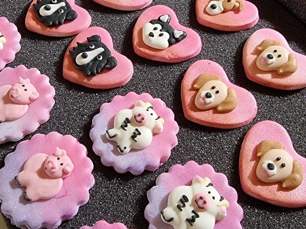 RSPCA Cupcake Day Caitlin Owen RSPCA Cupcake Day Caitlin Owen